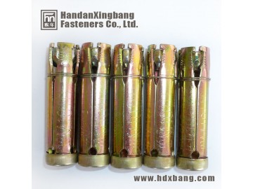 4pCS Shield anchor 